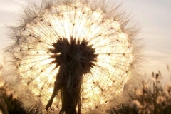 PusteSonne