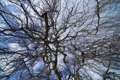DSC02553-scaled