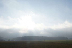 DSC05379-scaled