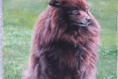 100_1344-scaled