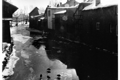 ILMim-Winter